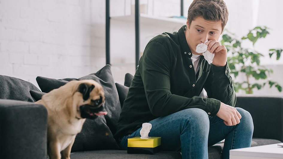 Purchasing an air purifier is one of the top ways to improve your home’s indoor air quality. Learn more about the three smartest options. 